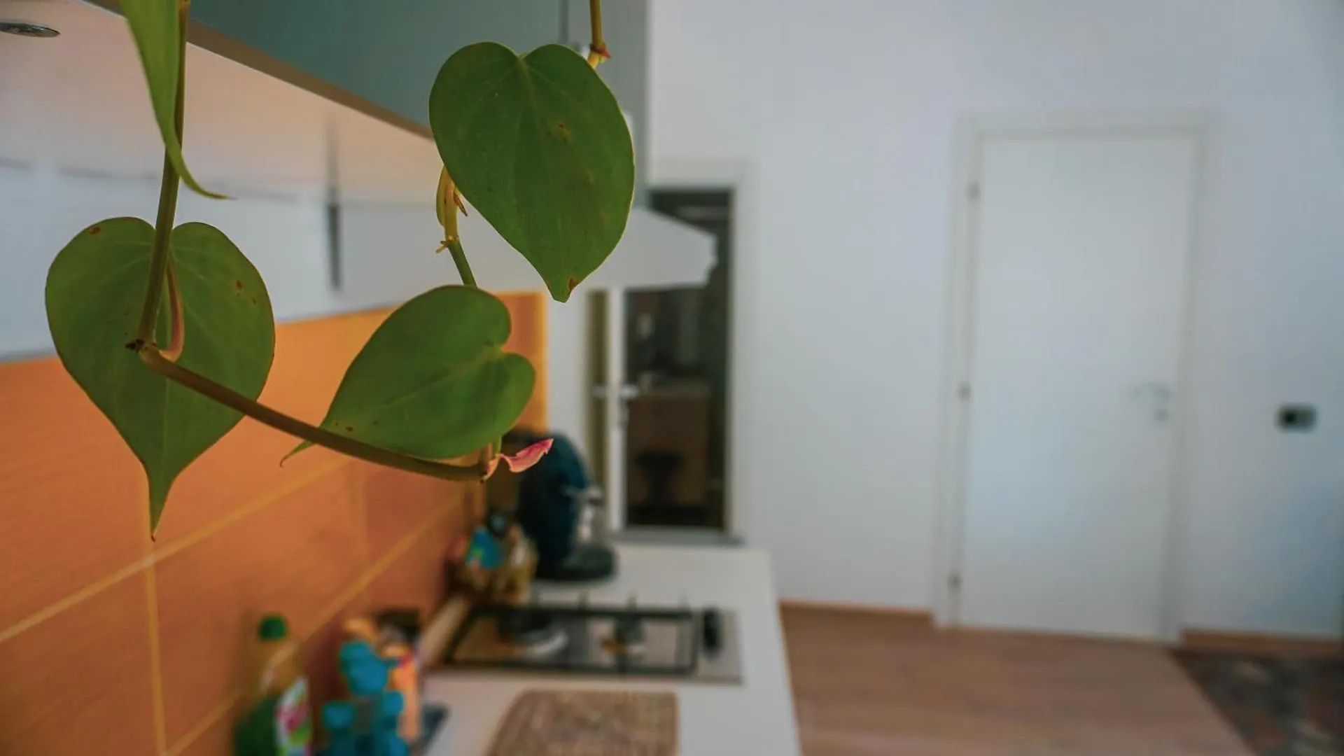 Ospiti A Casa Mia Apartment Palermo 0*,